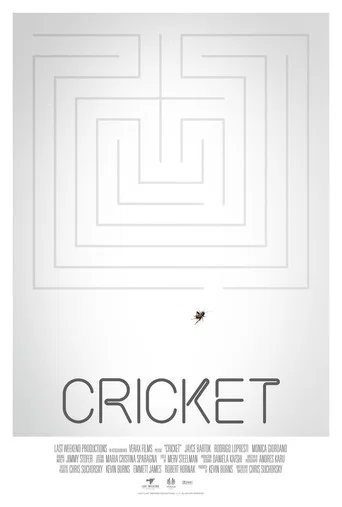 Cricket poster