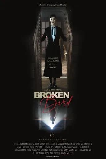 Broken Bird poster